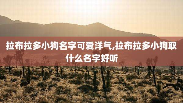 拉布拉多小狗名字可爱洋气,拉布拉多小狗取什么名字好听