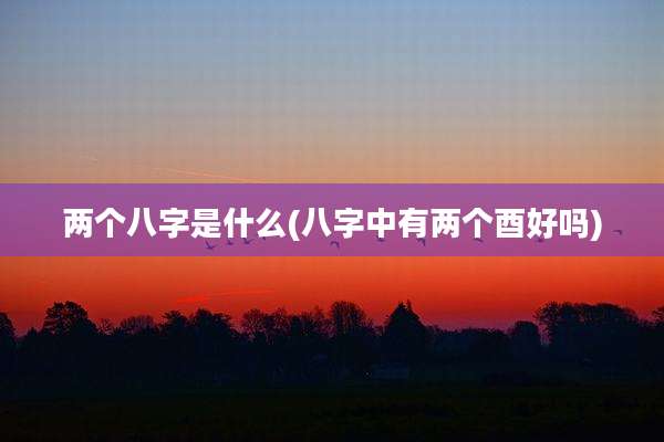 两个八字是什么(八字中有两个酉好吗)