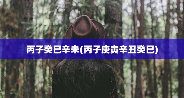 丙子癸巳辛未(丙子庚寅辛丑癸巳)