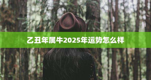 乙丑年属牛2025年运势怎么样
