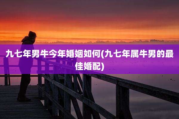 九七年男牛今年婚姻如何(九七年属牛男的最佳婚配)