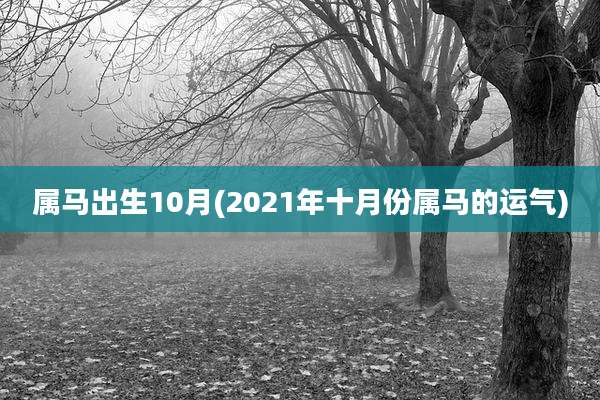 属马出生10月(2021年十月份属马的运气)