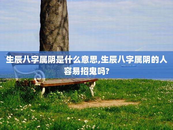 生辰八字属阴是什么意思,生辰八字属阴的人容易招鬼吗?