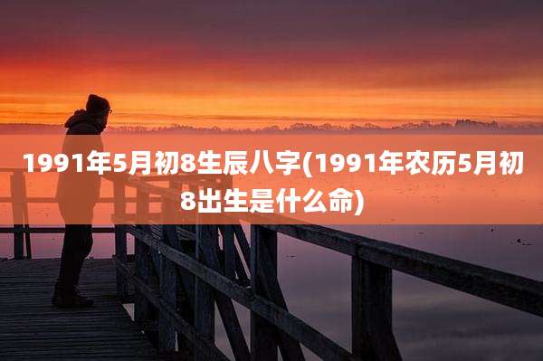 1991年5月初8生辰八字(1991年农历5月初8出生是什么命)