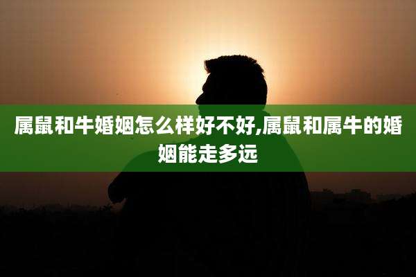 属鼠和牛婚姻怎么样好不好,属鼠和属牛的婚姻能走多远