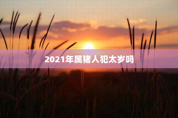 2021年属猪人犯太岁吗