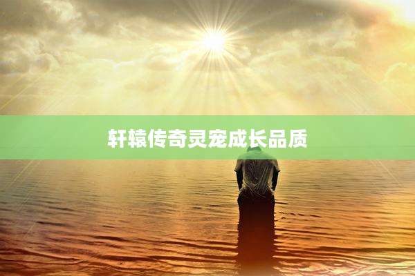 轩辕传奇灵宠成长品质