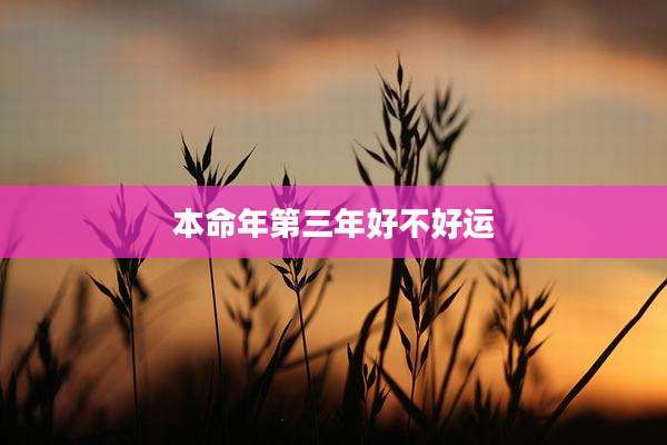 本命年第三年好不好运