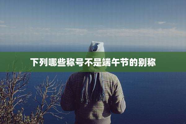 下列哪些称号不是端午节的别称