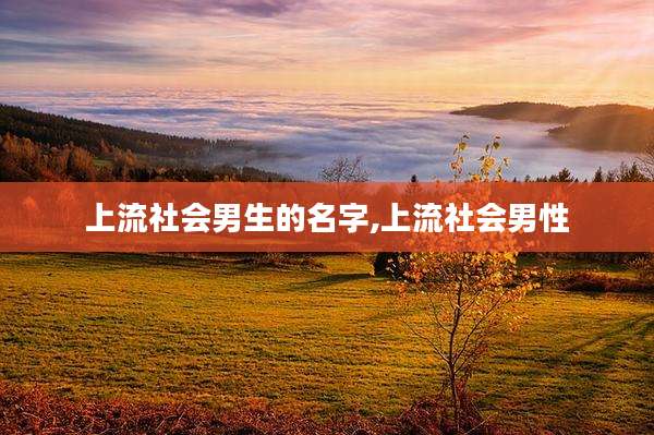 上流社会男生的名字,上流社会男性