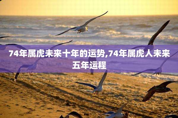 74年属虎未来十年的运势,74年属虎人未来五年运程