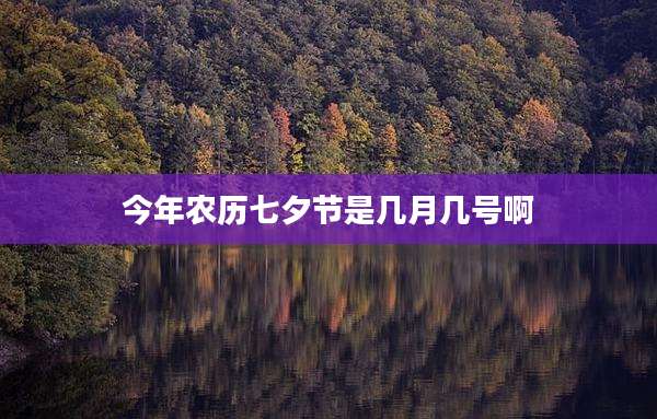 今年农历七夕节是几月几号啊