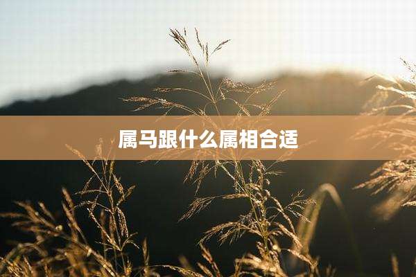 属马跟什么属相合适