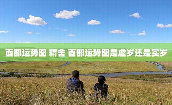 面部运势图 精舍 面部运势图是虚岁还是实岁