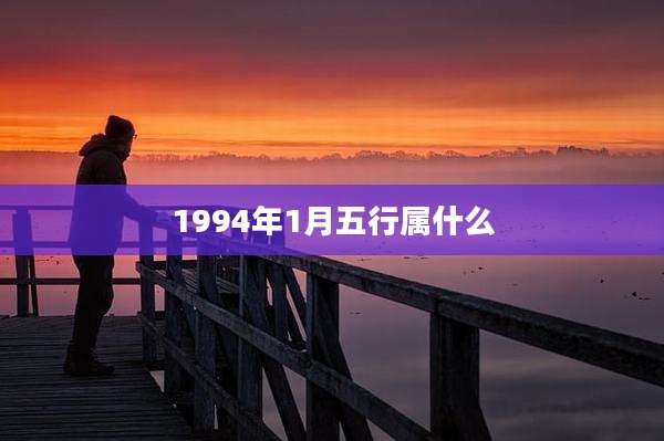 1994年1月五行属什么