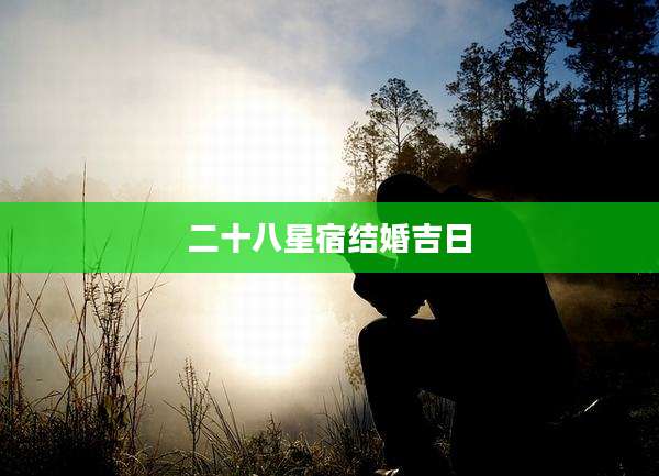 二十八星宿结婚吉日