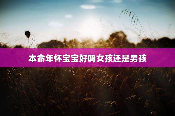 本命年怀宝宝好吗女孩还是男孩