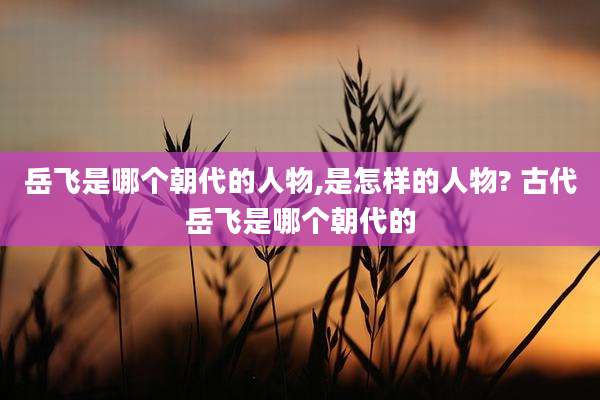 岳飞是哪个朝代的人物,是怎样的人物? 古代岳飞是哪个朝代的