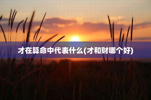 才在算命中代表什么(才和财哪个好)