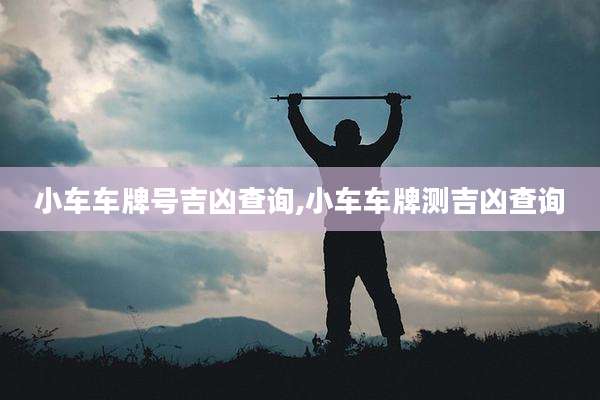 小车车牌号吉凶查询,小车车牌测吉凶查询