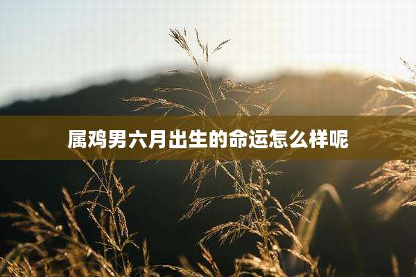 属鸡男六月出生的命运怎么样呢
