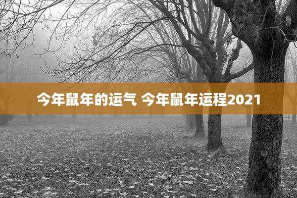 今年鼠年的运气 今年鼠年运程2021