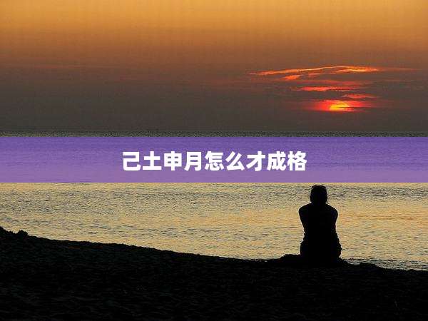 己土申月怎么才成格