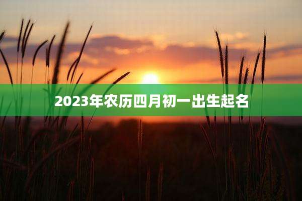2023年农历四月初一出生起名