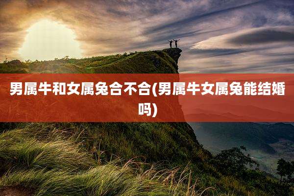 男属牛和女属兔合不合(男属牛女属兔能结婚吗)