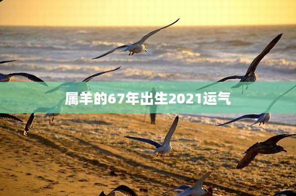 属羊的67年出生2021运气