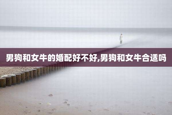 男狗和女牛的婚配好不好,男狗和女牛合适吗