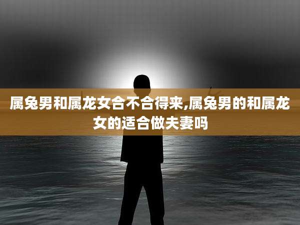 属兔男和属龙女合不合得来,属兔男的和属龙女的适合做夫妻吗