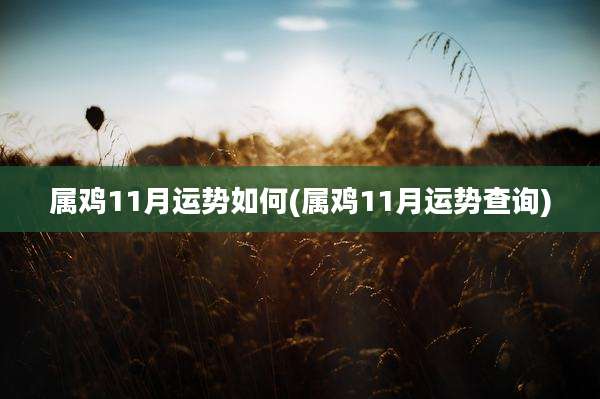 属鸡11月运势如何(属鸡11月运势查询)