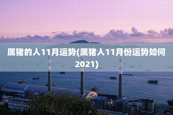 属猪的人11月运势(属猪人11月份运势如何2021)