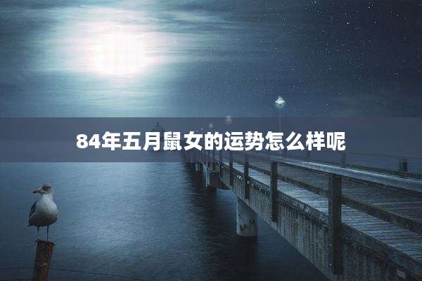 84年五月鼠女的运势怎么样呢