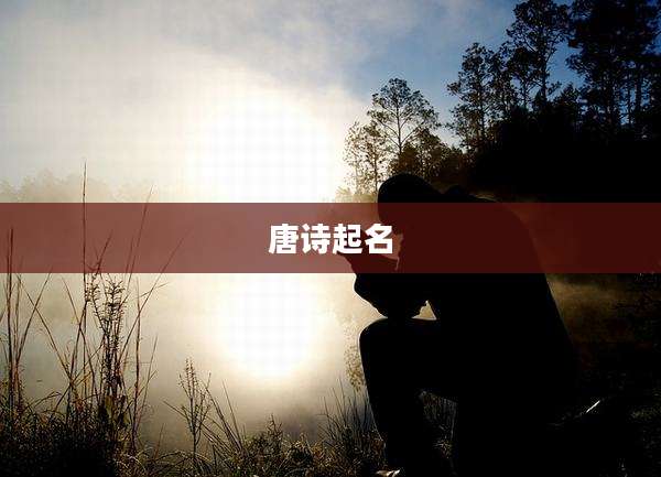唐诗起名