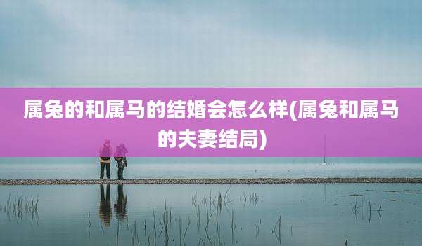 属兔的和属马的结婚会怎么样(属兔和属马的夫妻结局)