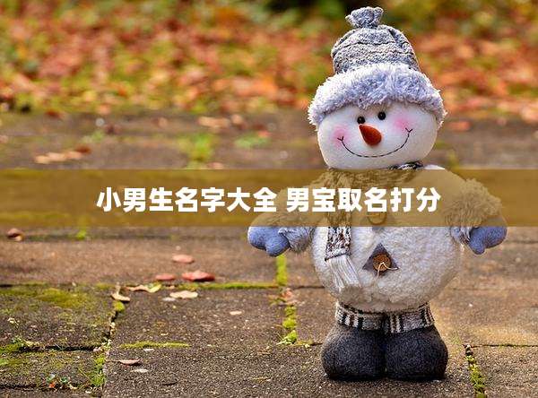 小男生名字大全 男宝取名打分