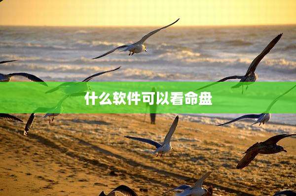 什么软件可以看命盘