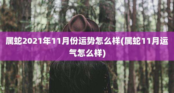 属蛇2021年11月份运势怎么样(属蛇11月运气怎么样)