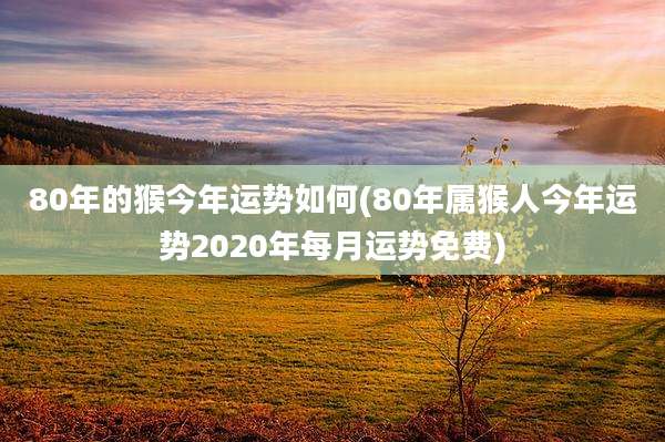80年的猴今年运势如何(80年属猴人今年运势2020年每月运势免费)