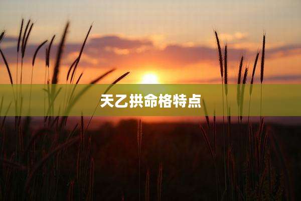 天乙拱命格特点