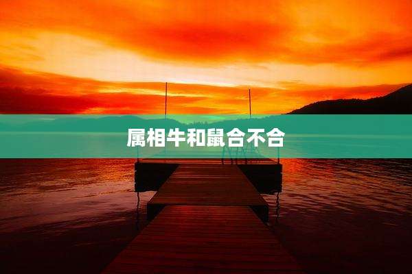 属相牛和鼠合不合