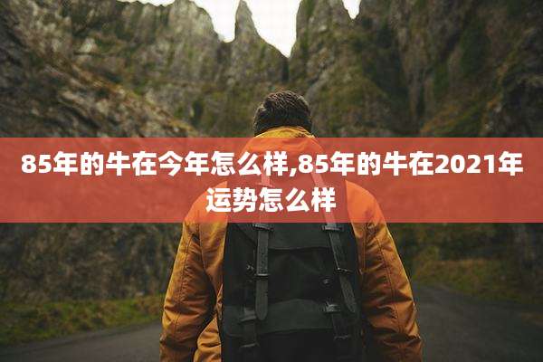 85年的牛在今年怎么样,85年的牛在2021年运势怎么样
