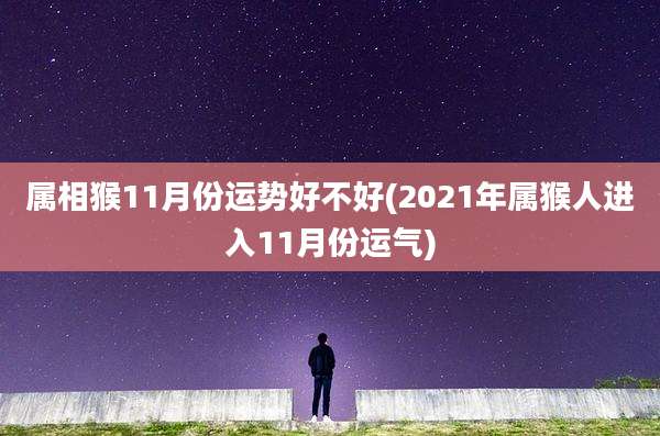 属相猴11月份运势好不好(2021年属猴人进入11月份运气)
