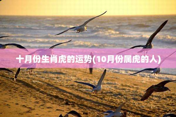十月份生肖虎的运势(10月份属虎的人)