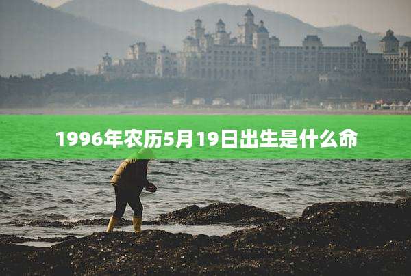 1996年农历5月19日出生是什么命
