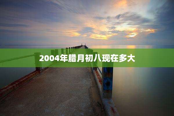 2004年腊月初八现在多大