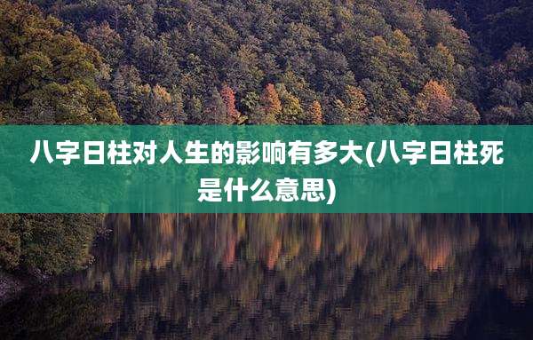 八字日柱对人生的影响有多大(八字日柱死是什么意思)