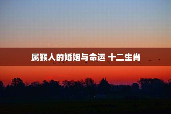 属猴人的婚姻与命运 十二生肖